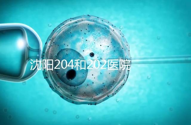 沈陽204和202醫(yī)院哪個好?東港市做過試管嬰兒的姐妹這樣說