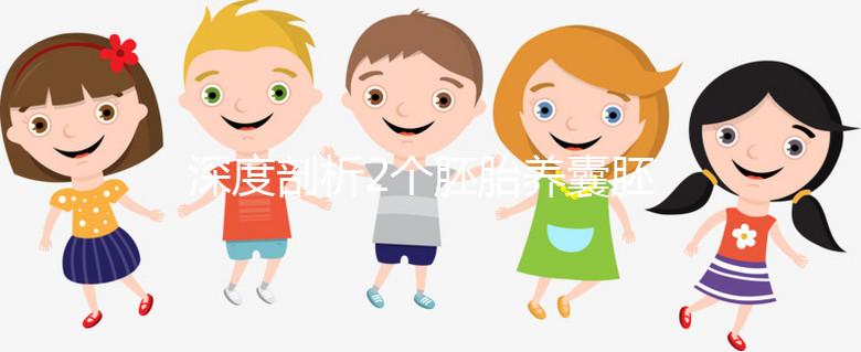 深度剖析2個胚胎養(yǎng)囊胚的成功率，可以養(yǎng)成幾個一目了然