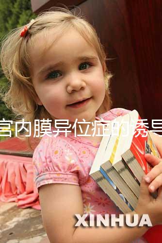 子宮內膜異位癥的誘導排卵方案，其實沒有標準答案