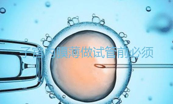 子宮內(nèi)膜薄做試管前必須先調(diào)理好，調(diào)理方法在這里自取！