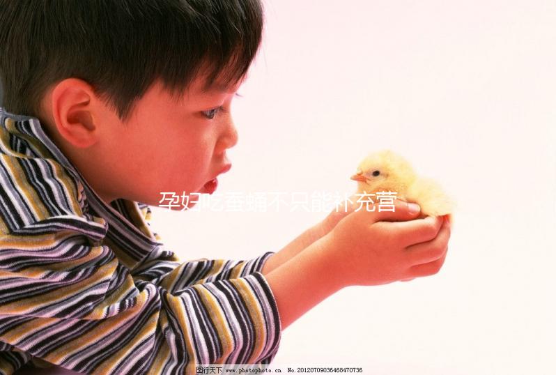 孕婦吃蠶蛹不只能補(bǔ)充營(yíng)養(yǎng),80%的人都不知道有這些好處