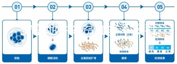 安徽地中海貧血多不多戳,合肥比例低也要早發現早治療