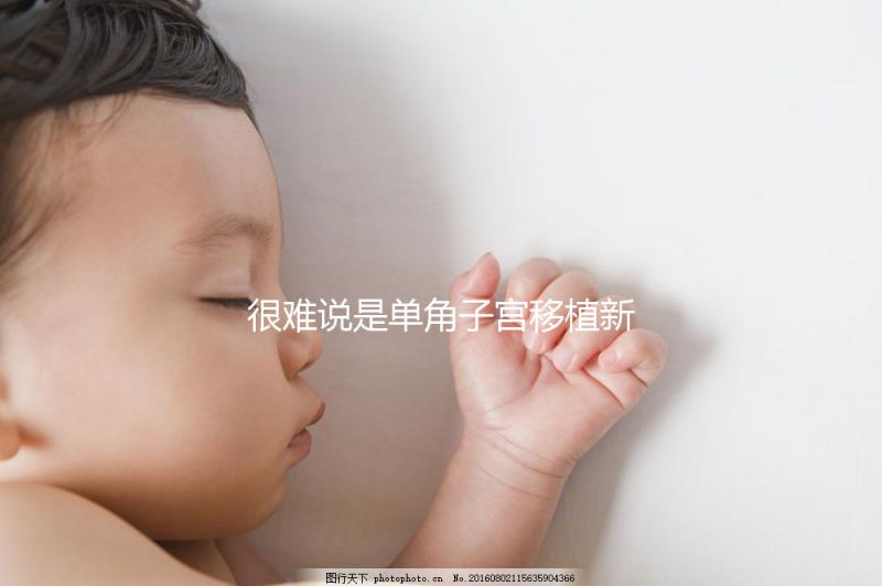 很難說是單角子宮移植新鮮胚胎還是囊胚了解成功率是很清楚的