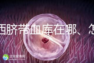 山西臍帶血庫在哪、怎么保存答案在這，太原存20年費用竟…