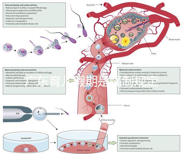 廣東育兒假期是強(qiáng)制規(guī)定!深圳包不包括雙休日這均有答復(fù)