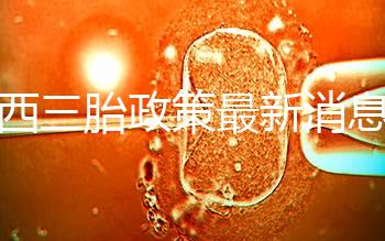 廣西三胎政策最新消息解讀，2024桂北滿足條件可申請(qǐng)獎(jiǎng)勵(lì)