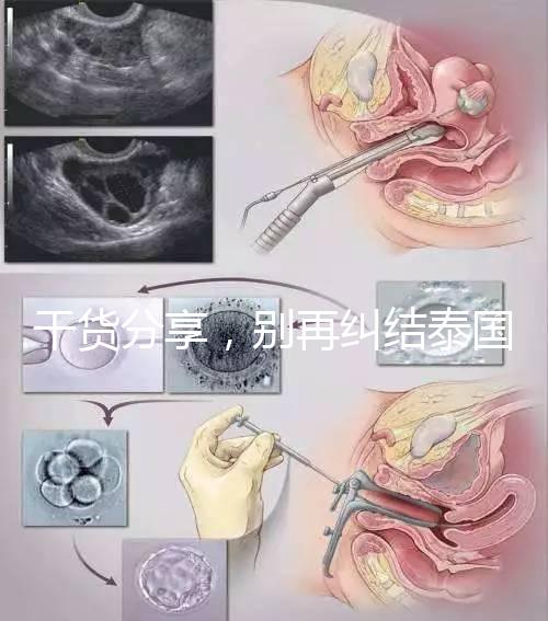 干貨分享,別再糾結泰國試管結婚證公證書要不要泰語了!