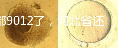 都9012了，河北省還沒三代試管嬰兒醫院，看看姐妹怎么說