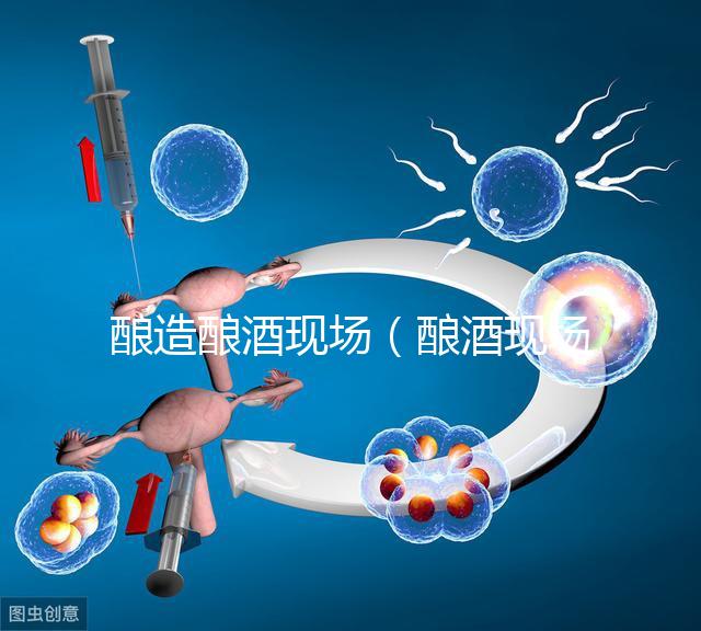 釀造釀酒現場(釀酒現場圖片)