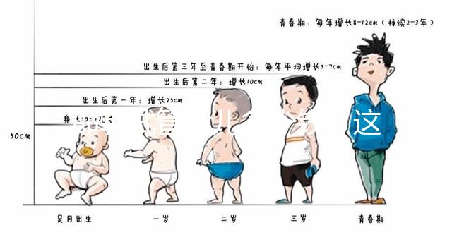 邯鄲試管嬰兒多少錢？這些醫(yī)院都能做成功率還不低！