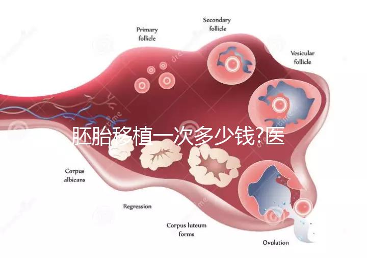 胚胎移植一次多少錢(qián)?醫(yī)生:有剩余胚胎移植很便宜