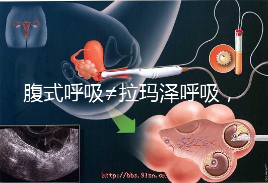 腹式呼吸≠拉瑪澤呼吸,想緩解分娩痛請先分清二者區(qū)別