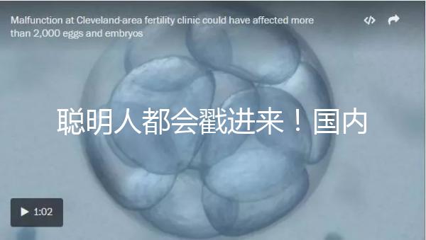 聰明人都會(huì)戳進(jìn)來(lái)!國(guó)內(nèi)試管嬰兒和泰國(guó)試管嬰兒優(yōu)缺對(duì)比