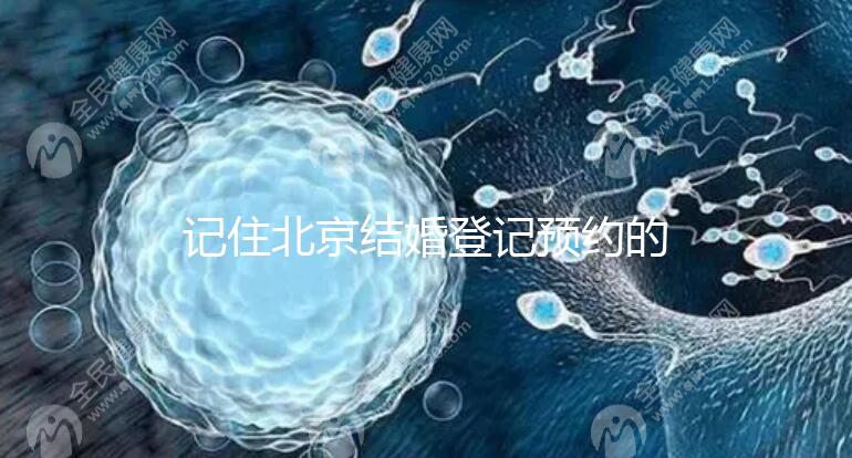 記住北京結(jié)婚登記預(yù)約的時(shí)間你能在周六和周日做這件事嗎？