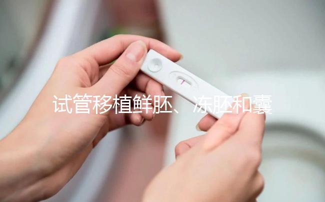 試管移植鮮胚、凍胚和囊胚哪個(gè)好？