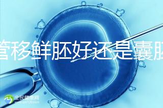 試管移鮮胚好還是囊胚好（3天鮮胚和5天囊胚的區(qū)別）