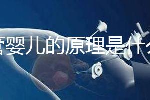 試管嬰兒的原理是什么？一代二代三代有什么區別？