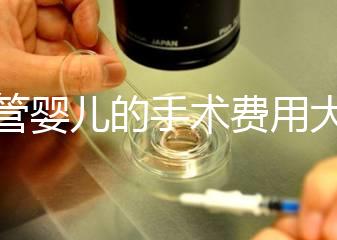 試管嬰兒的手術費用大概是多少？