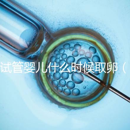 試管嬰兒什么時(shí)候取卵(試管嬰兒什么時(shí)候取卵和移植)