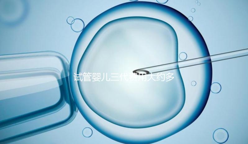 試管嬰兒三代費用大約多少？