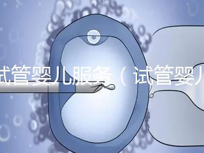 試管嬰兒服務（試管嬰兒服務公司合法嗎）