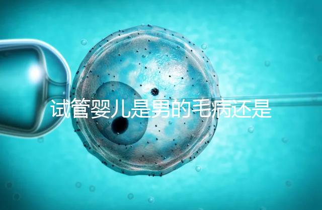 試管嬰兒是男的毛病還是女的毛病(試管嬰兒是男的毛病還是女的毛病呢)