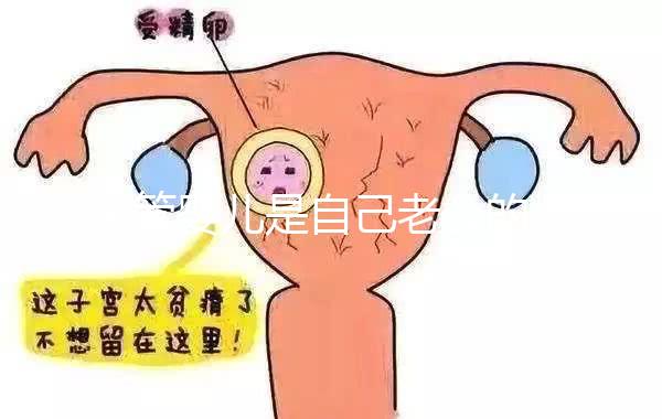 試管嬰兒是自己老公的精子嗎(試管嬰兒是不是老公的)