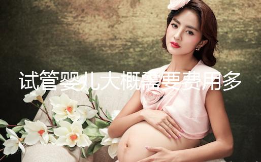 試管嬰兒大概需要費(fèi)用多少?怎么確定花多少錢(qián)?
