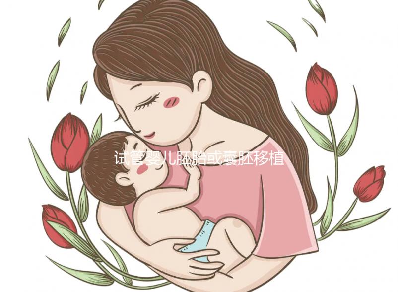 試管嬰兒胚胎或囊胚移植中有哪些常見問題