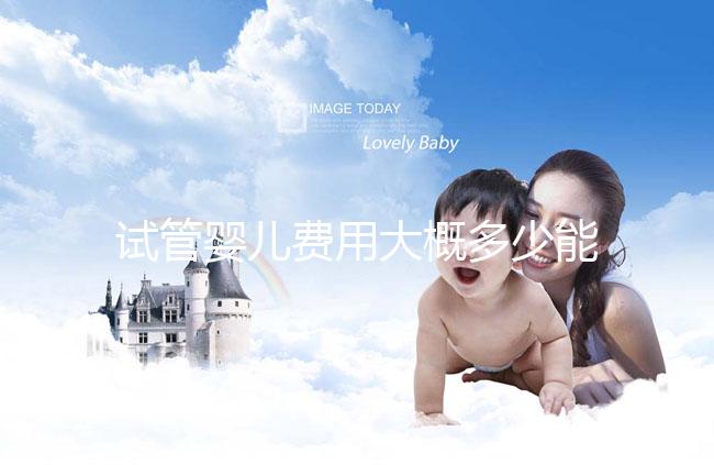 試管嬰兒費(fèi)用大概多少能報(bào)銷醫(yī)保（試管嬰兒費(fèi)用大概多少能報(bào)銷醫(yī)保啊）