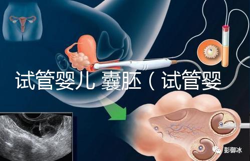 試管嬰兒 囊胚(試管嬰兒囊胚質量等級)
