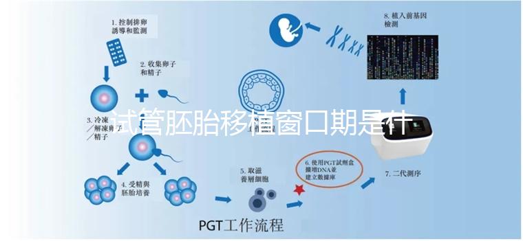 試管胚胎移植窗口期是什么?如何選對時機?