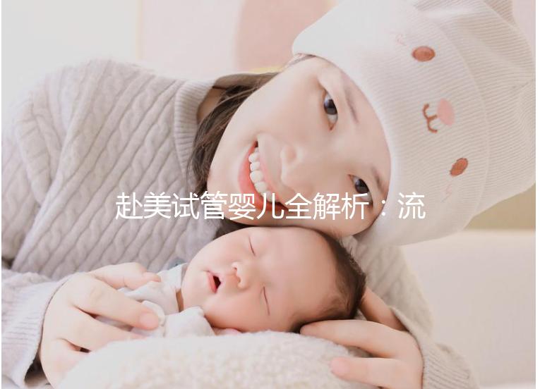 赴美試管嬰兒全解析:流程、費用與醫院推薦