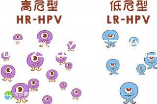 誰說不辦準生證不能上戶,2020年生育新政策了解下!