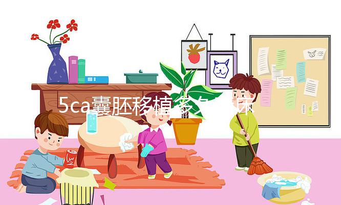 5ca囊胚移植多久著床、有何反應(yīng)答案來(lái)了,第8天白板要警惕