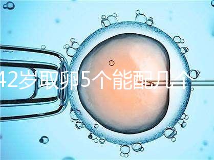 42歲取卵5個(gè)能配幾個(gè)胚胎難說,只有2個(gè)許是技術(shù)差導(dǎo)致