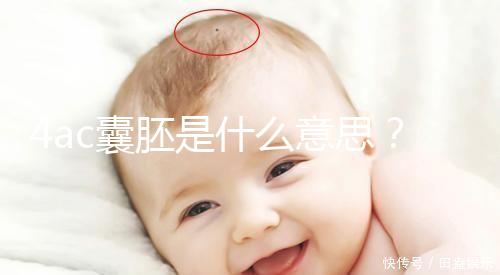 4ac囊胚是什么意思？移植成功率