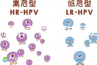 6個胚胎養(yǎng)囊成功率是多大答案在這,能配成3個機會就大