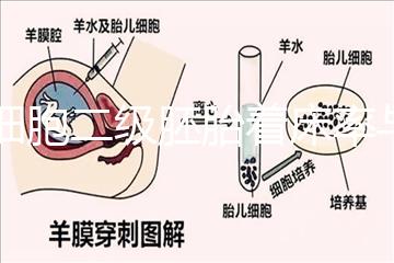 6細胞二級胚胎著床率與養囊成功率解讀，拿不準移植與否戳