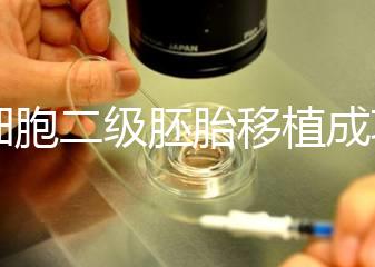 9細胞二級胚胎移植成功案例不少，過來人告訴你著床率較高