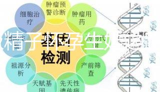 C級(jí)精子懷孕生娃之路不好走,試管或是唯一的選擇