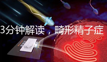 3分鐘解讀，畸形精子癥是什么病異常精子跟它的區(qū)別