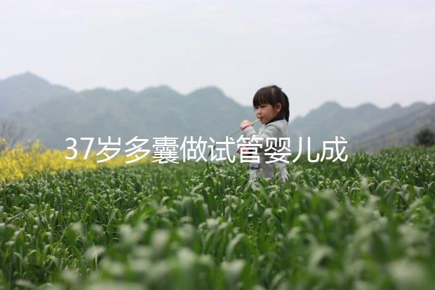 37歲多囊做試管嬰兒成功幾率多高?國內哪里做比較好