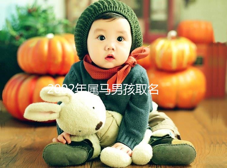 2002年屬馬男孩取名，經典又大氣