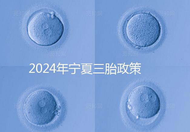 2024年寧夏三胎政策最新規定來襲，附西夏區實施時間