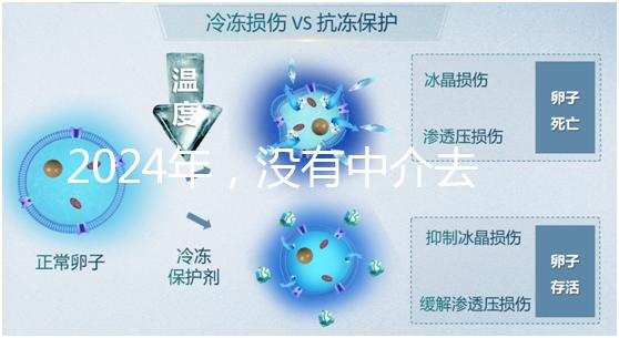 2024年，沒有中介去泰國做試管嬰兒？他們有必要這么說嗎？...