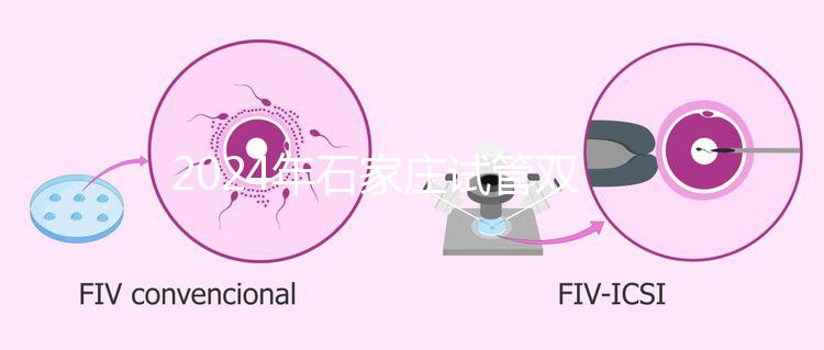 2024年石家莊試管雙胞胎醫院排名,不要錯過新華、長安