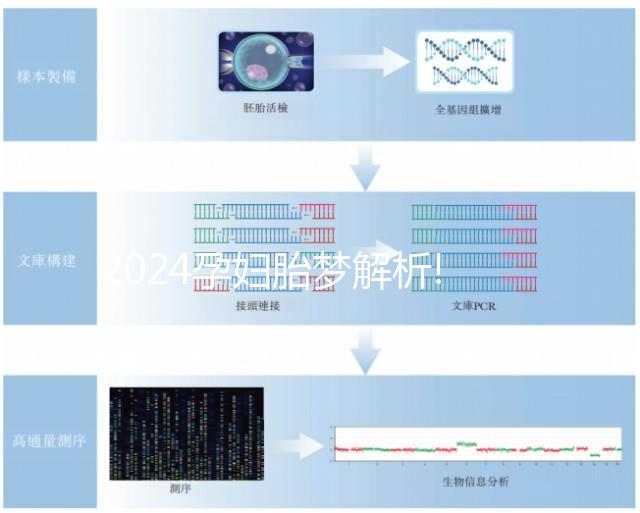 2024孕婦胎夢(mèng)解析!盤(pán)點(diǎn)那些生男孩的胎夢(mèng)