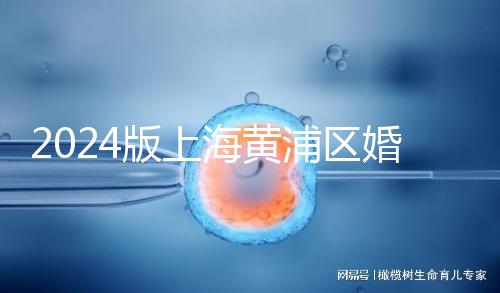 2024版上海黃浦區(qū)婚檢預(yù)約指南,包括詳細(xì)的流程和費(fèi)用