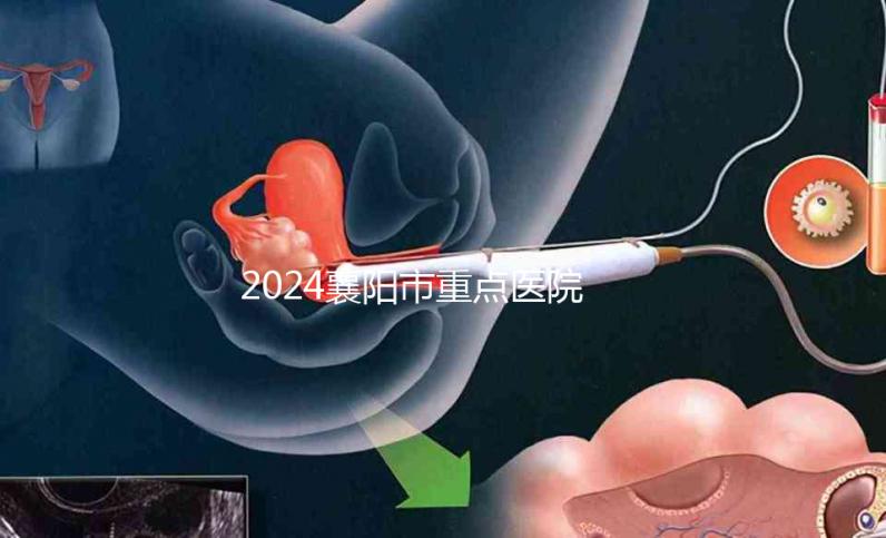 2024襄陽市重點醫院試管嬰兒費用明細，各項收費標準已列出